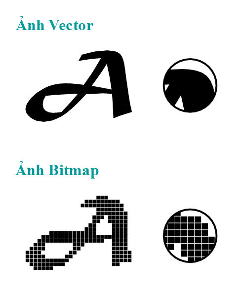 Ảnh vector, ảnh bitmap