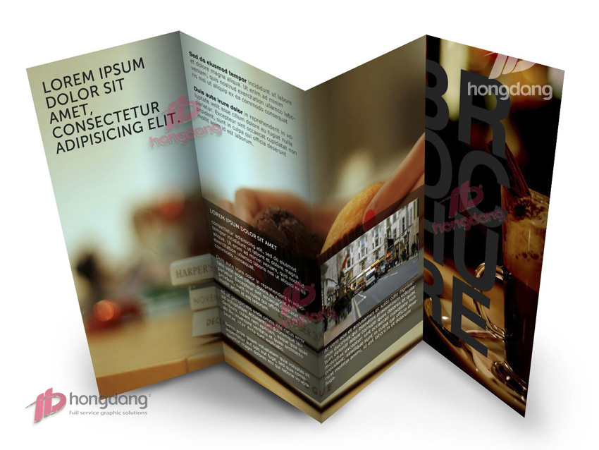 brochure