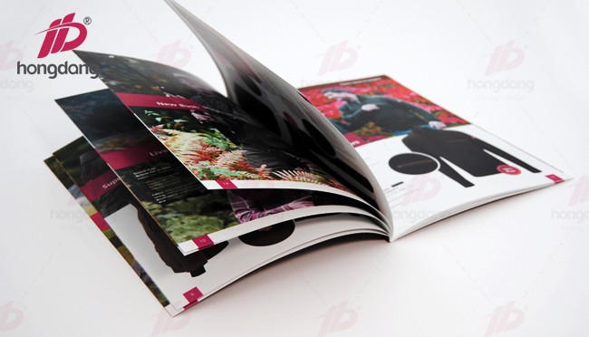 cách ghim lồng catalogue