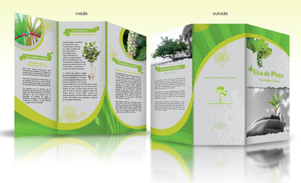 in-catalog-chuyen-nghiep