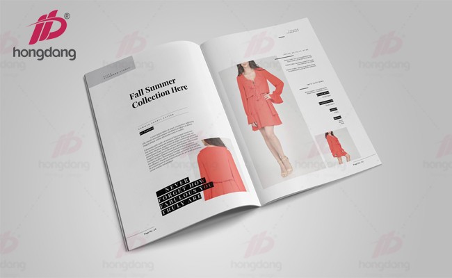 trình bày nội dung catalogue