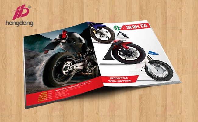 thiet-ke-catalogue