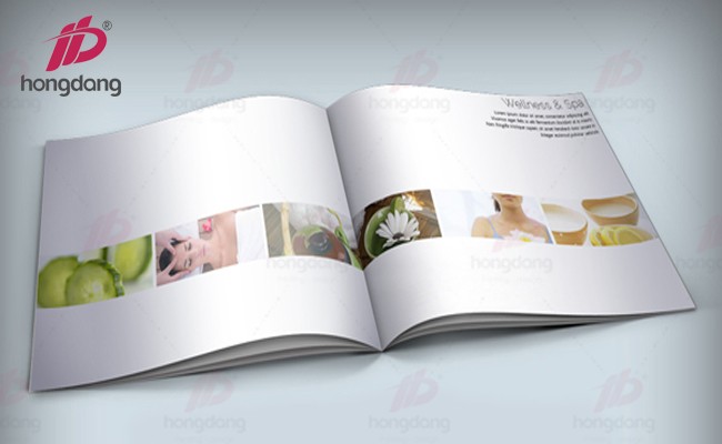 thiet-ke-catalogue