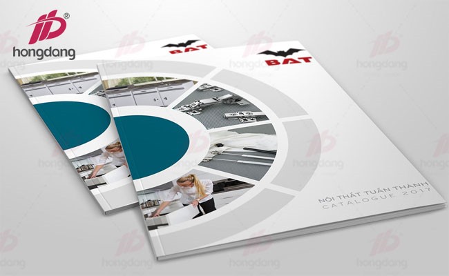 trình bày nội dung catalogue