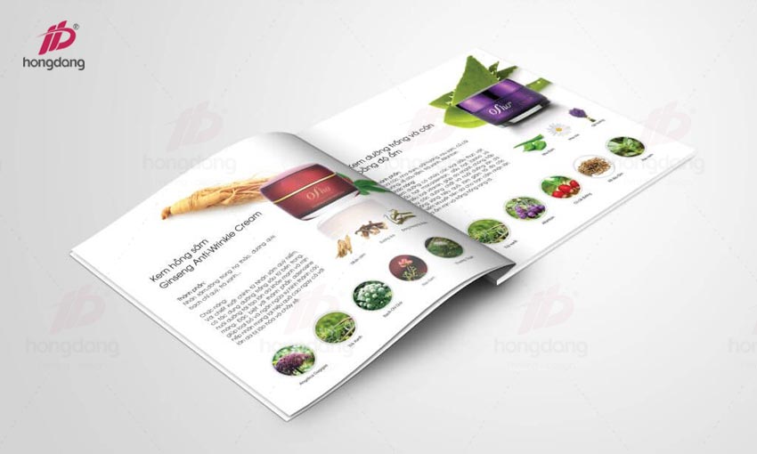 mau-catalogue-dep-sang-tao