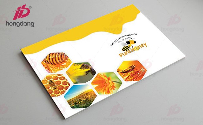trình bày nội dung catalogue