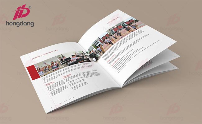 catalogue đẹp và ấn tượng