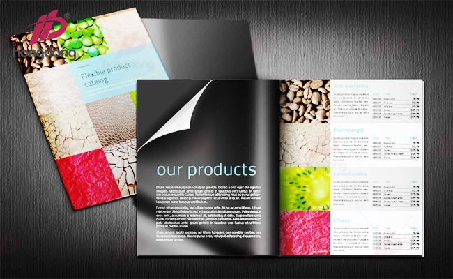 thiet-ke-catalogue