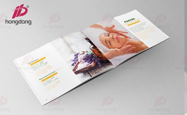 trình bày nội dung catalogue
