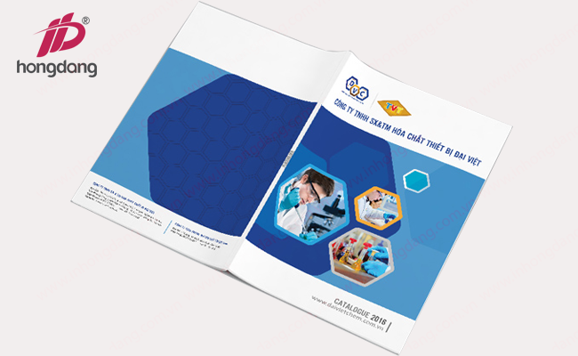thiet-ke-catalogue-gia-re