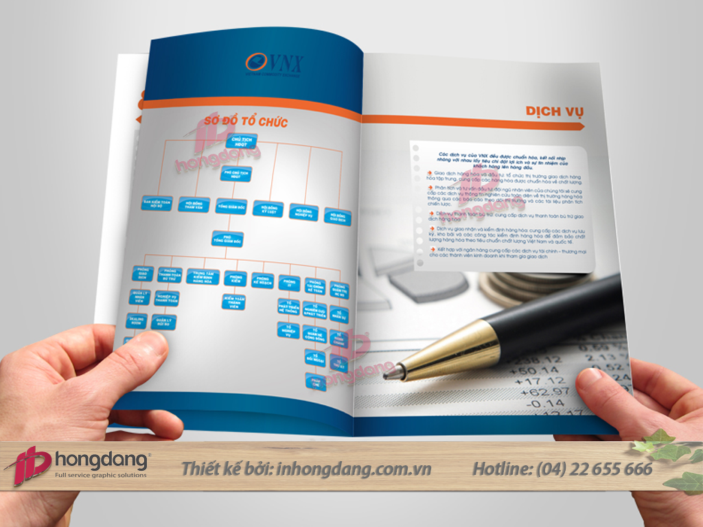 Mẫu thiết kế catalogue 01