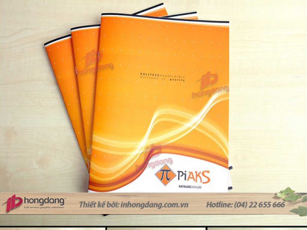 Mẫu thiết kế catalogue 08