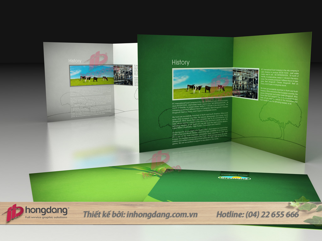 Mẫu thiết kế catalogue