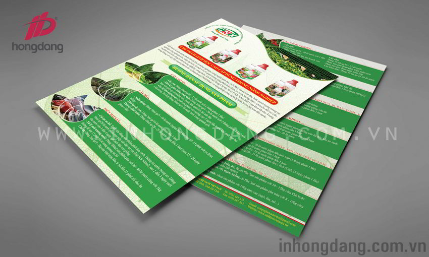 Hình ảnh của In Tờ Rơi, Flyer