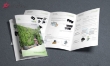 Hình ảnh của In Tờ Gấp, Brochure