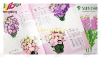 Hiển thị chi tiết cho Thiết kế in catalogue shop hoa tươi đẹp mê hồn người Hình ảnh cho bài viết Thiết kế in catalogue shop hoa tươi đẹp mê hồn người